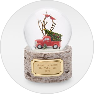 Holiday Snow Globes