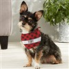 Small Dog Bandana