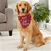 Large Dog Bandana