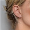 Silver in Ear