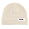 Mini Hat