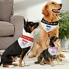 Personalized Dog Bandanas - Bad To The Bone - 10231