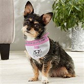 Small Dog Bandana