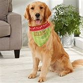 Large Dog Bandana