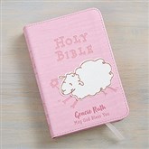 Pink Bible