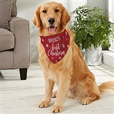 Large Dog Bandana