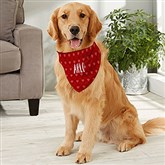 Large Dog Bandana