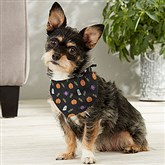 Small Dog Bandana