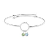 Silver Bracelet-2 Stones