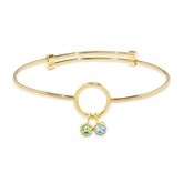 Gold Bracelet-2 Stones