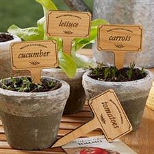 Personalized Plant Markers - Vegetable Garden - 20033