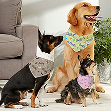 Playful Puppy Personalized Dog Bandana  - 41727